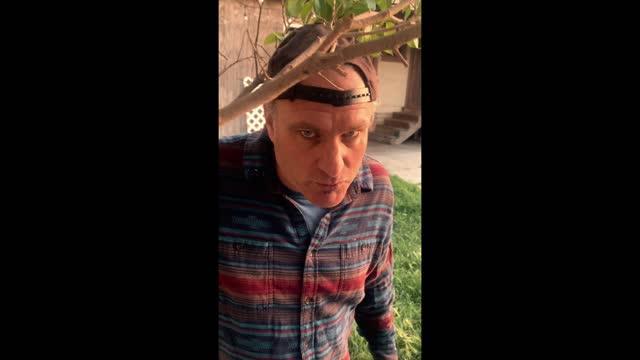 Makers by Buffalo Traffic