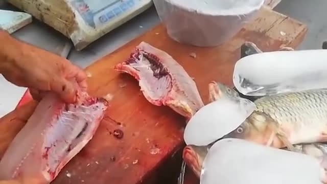 CLEANING AND CUTTING OF FISH