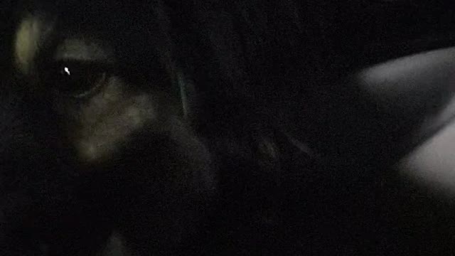 Waiting for mom in the car