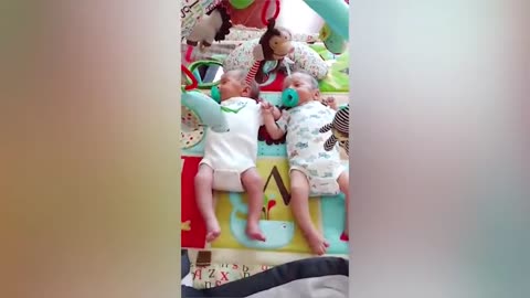 Cute funny twin babies