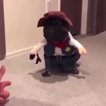 BEST OSCAR ACTOR EVER.mp4