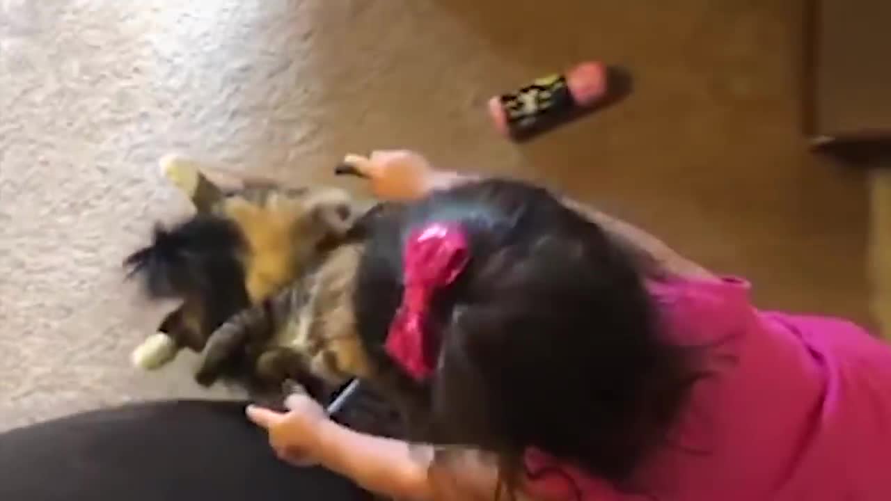 Cat and babies play together funny videO