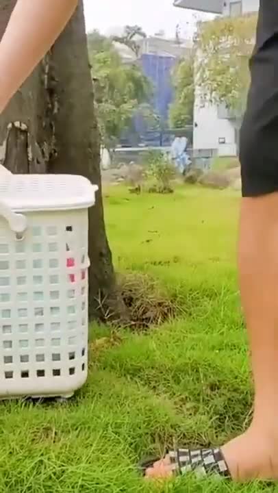 horts #catfunny #Cute Cats #Shorts Funny video #shortscat #lovelycat