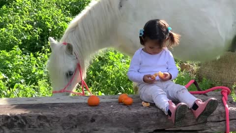 Little baby horse riding training