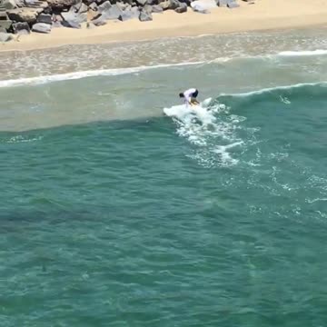 Guy yellow surfboard paddle surfing