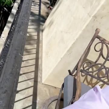 RFK Jr. Catches Grasshopper Barehanded: Impressive Moment Caught on Camera