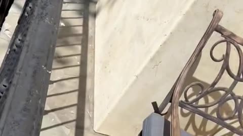 RFK Jr. Catches Grasshopper Barehanded: Impressive Moment Caught on Camera