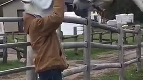 This woman scared the horse with a mask