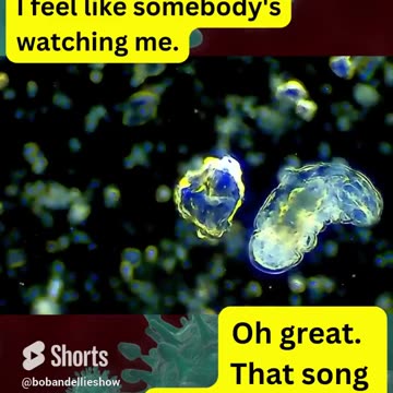 We are being WATCHED?!