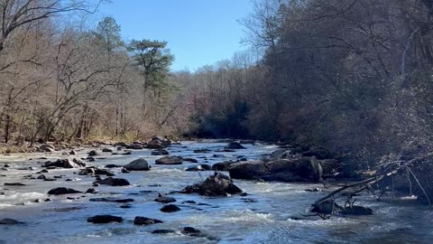 Hatchett Creek Walk & Prayer