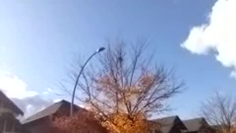 MONDAY, NOV 13, 11:33am finish, 2023.