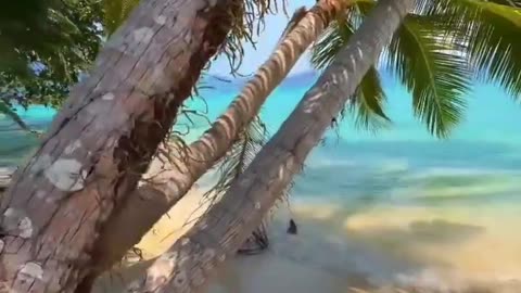 This is my life, How is yours #honeymoon #naturelover #beach #nature #honeymoondestination #love