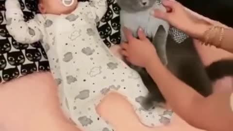 FRIENDSHIP OF THE BABY AND THE SLEEPING CAT