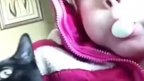 FUNNY ANIMALS VIDEOS - 008