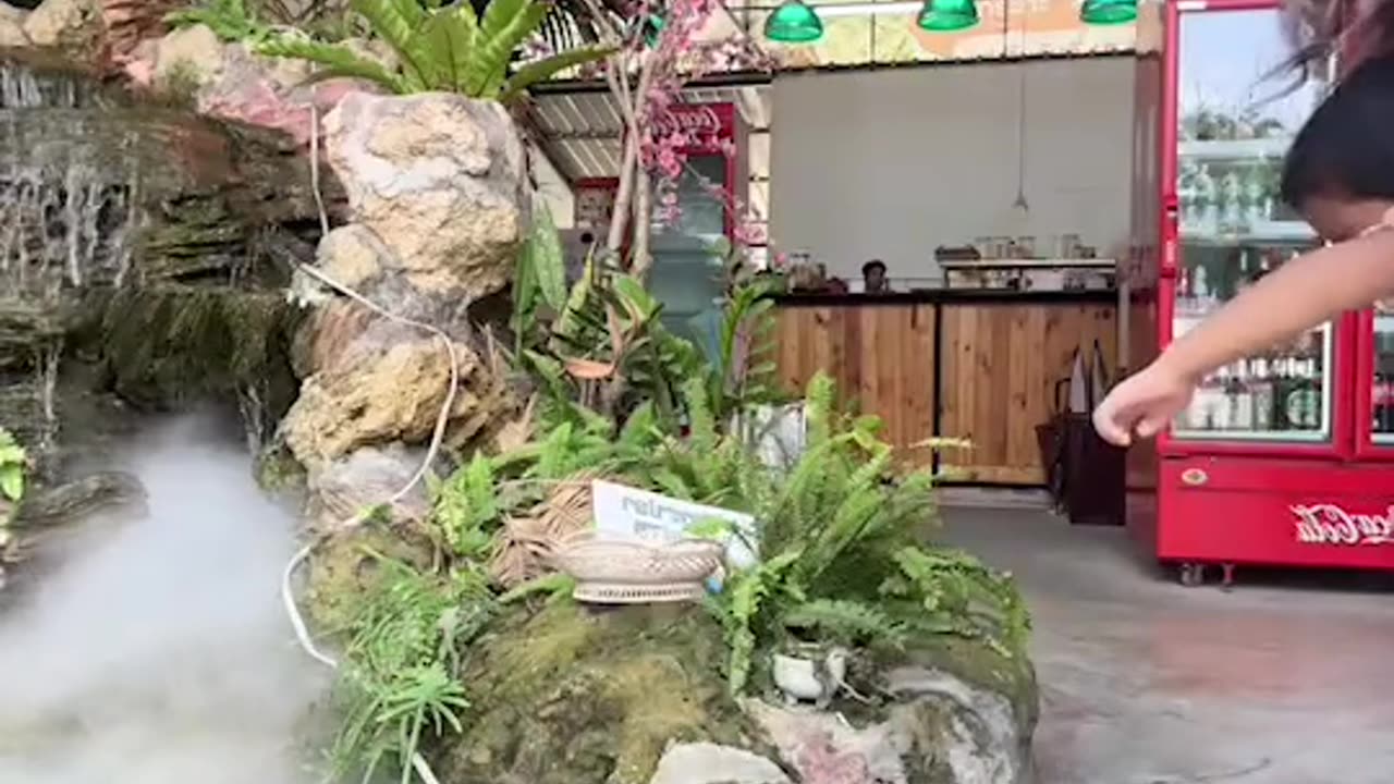 A phobia against frogs is born 😂