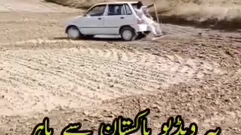 True pakistani