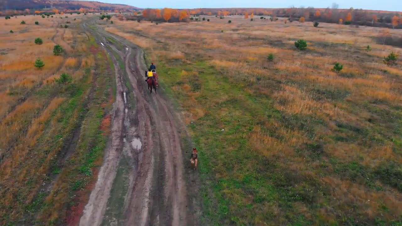 Two women are galloping on the horses on the autumn field