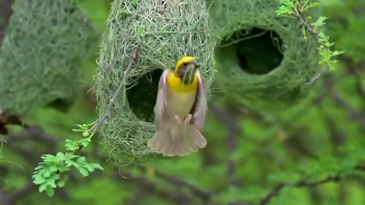 Beautifully constructed homes