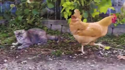 You Won't Believe