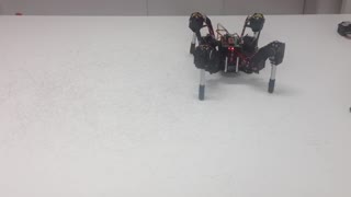 Quadruped 3DOF