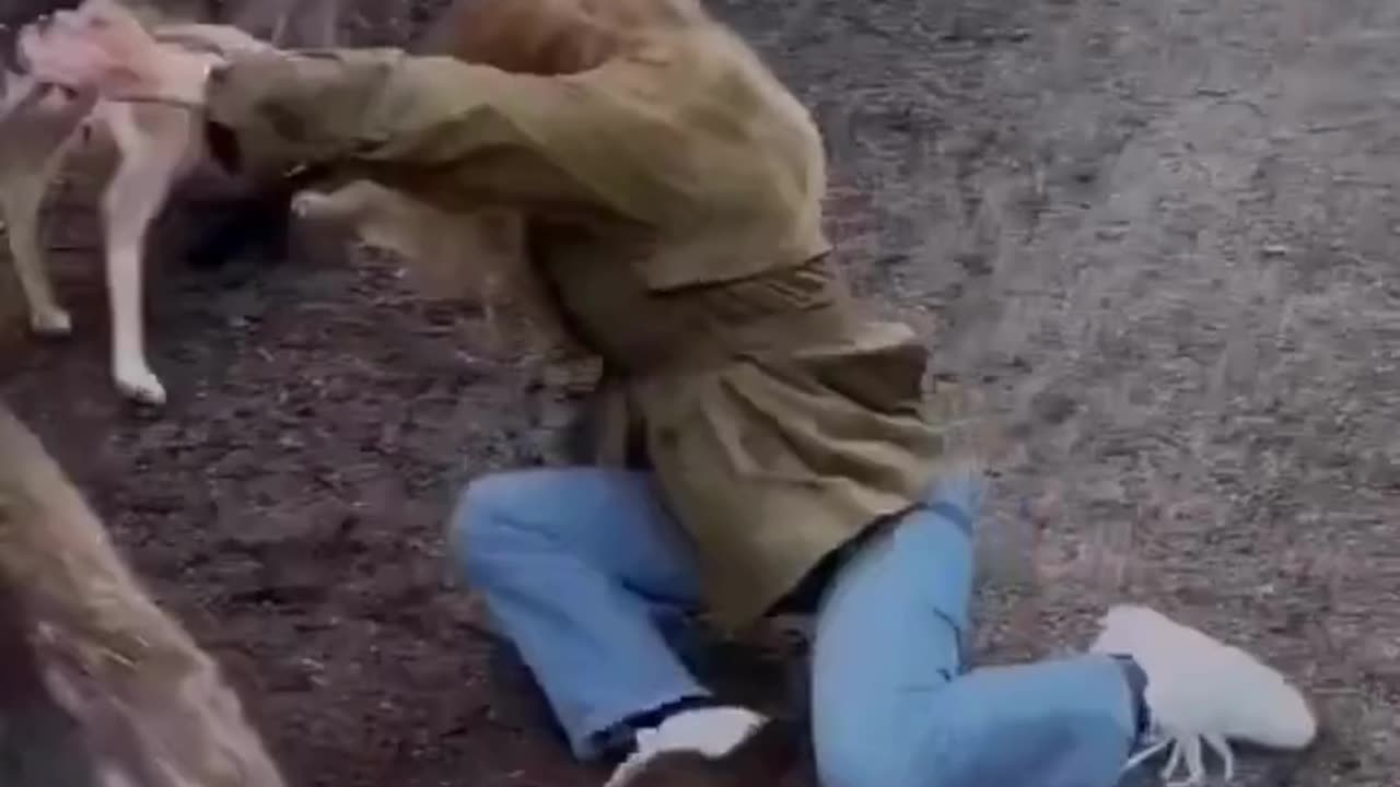 The End 😂😂😂 #funny #fails #viral #reels #shorts #LaughPeriod