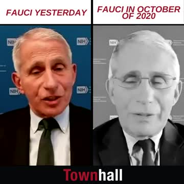 Fauci Caught Lying