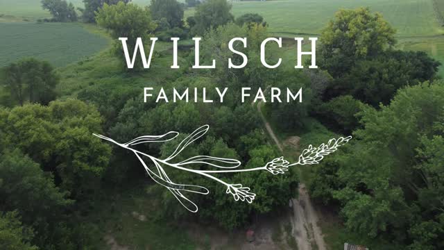 Wilsch Family Farm Ad