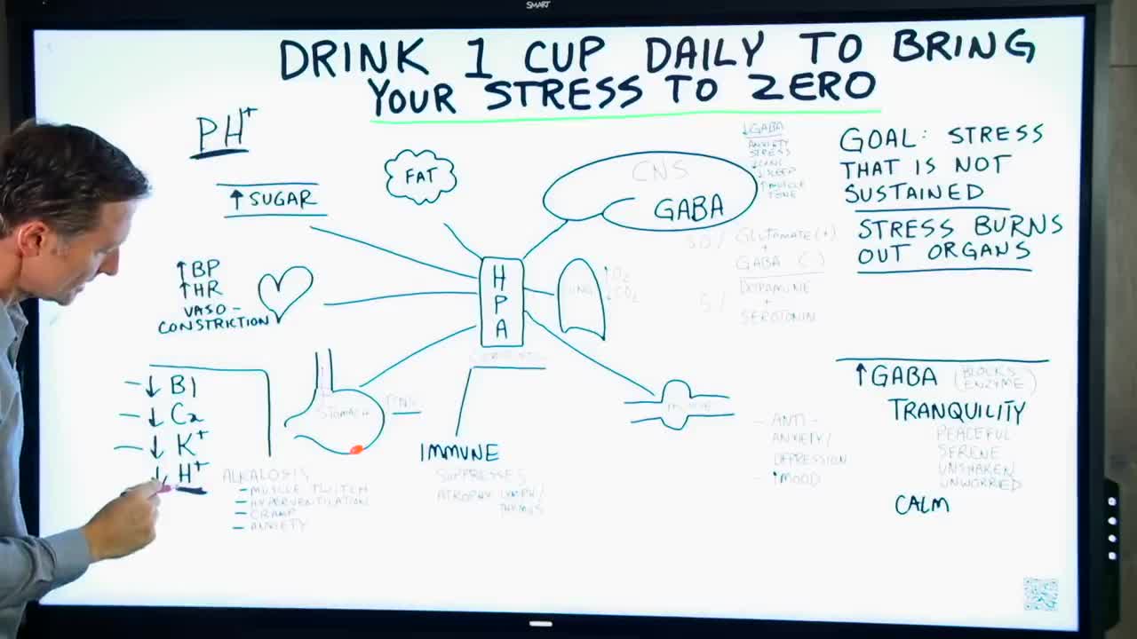 DrBerg-Drink 1 Cup Daily To Bring Your Stress To ZERO