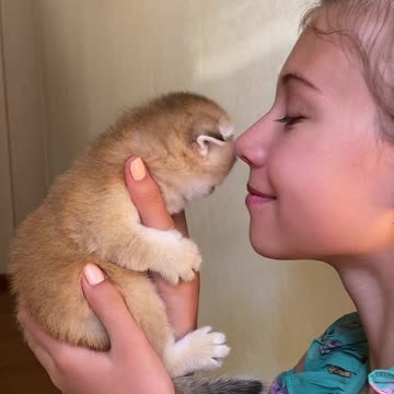 Cute Kitty In My Hands