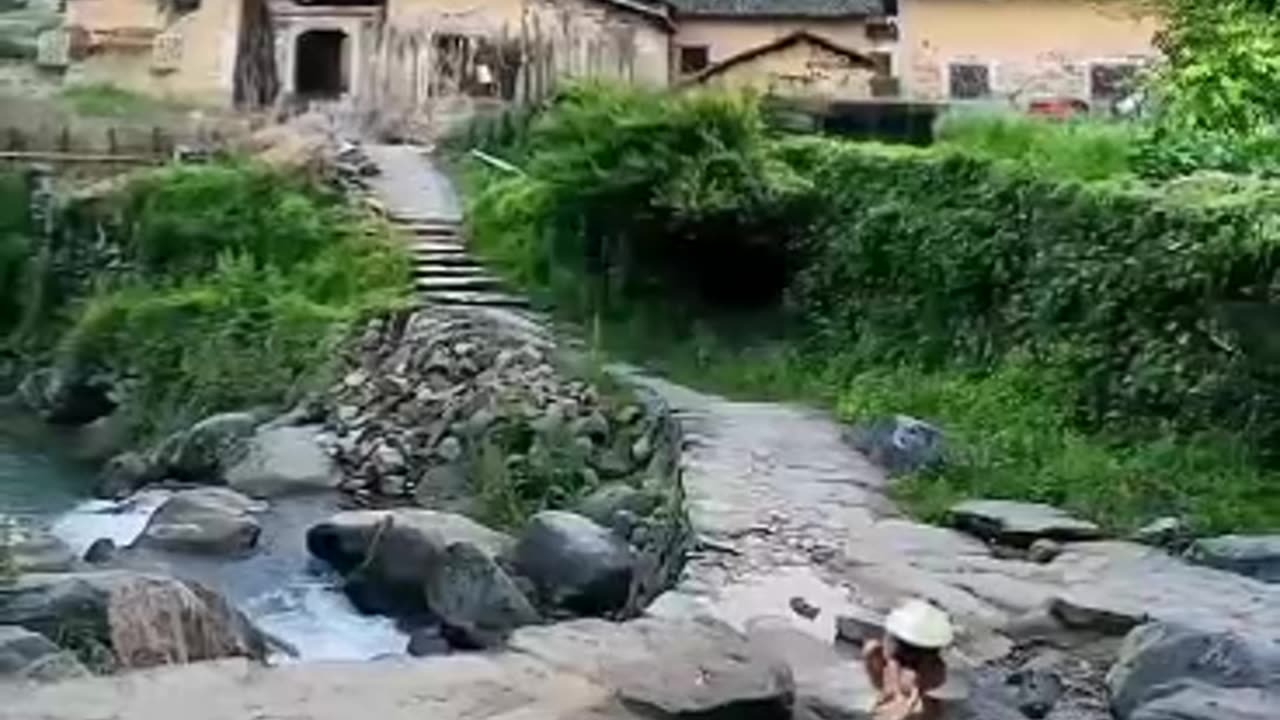NATURE IS LIFE.
