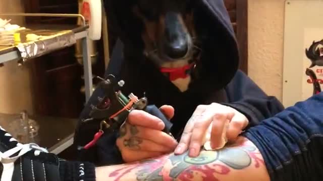 Tattoos By the Doggfather