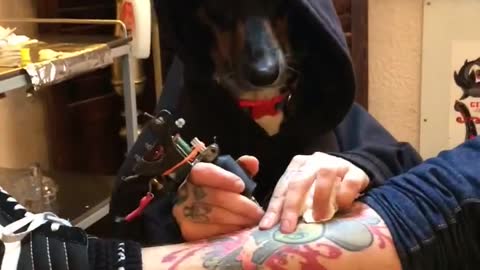 Tattoos By the Doggfather