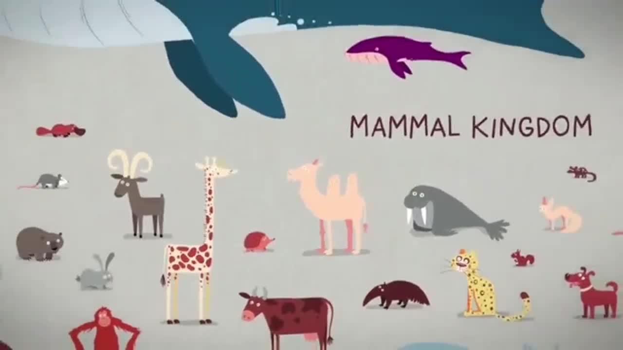 Mammals have ways of giving birth that they don't understand