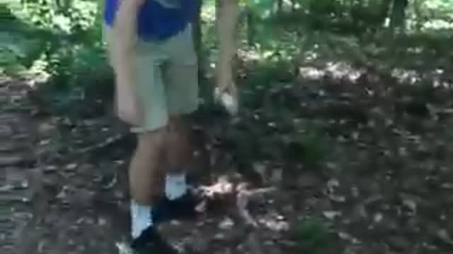 Guy in blue shirt smashes long lightbulb against tree