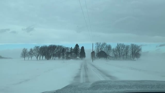 Windy Snow Storm