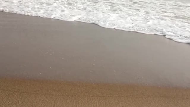 Nice video