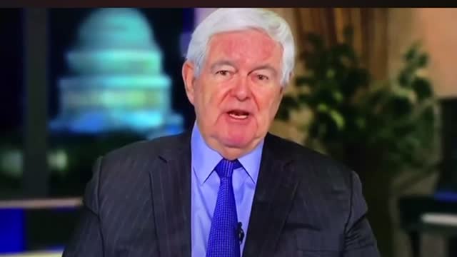 Newt on 2020 vote fraud