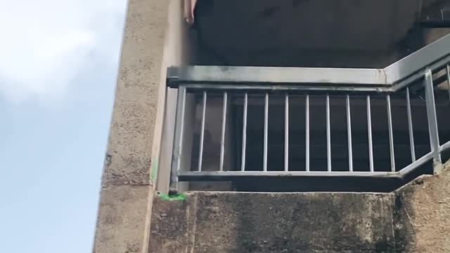 LOS ANGELES rooftop parkour pov