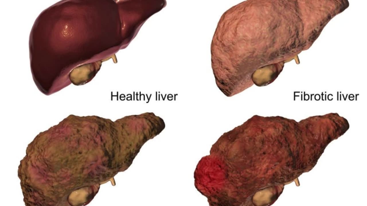 #human #organs #facts #interestingfacts