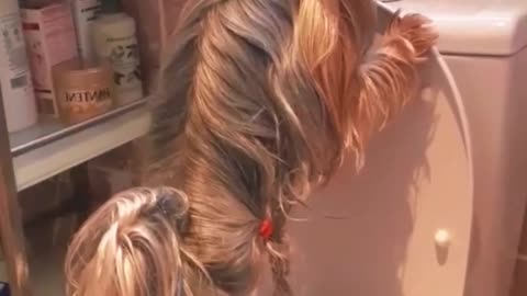Dog funny video 😂😂 #short
