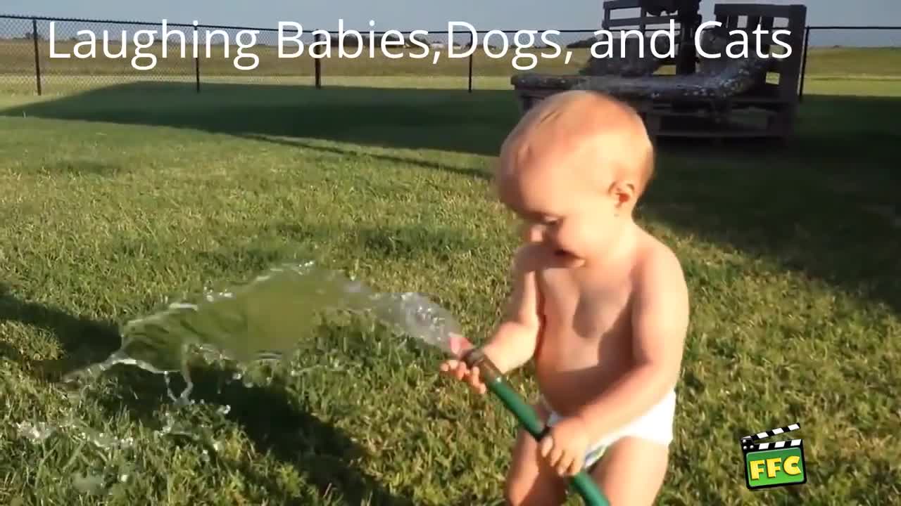 Babies and Dogs Compilation -NEW