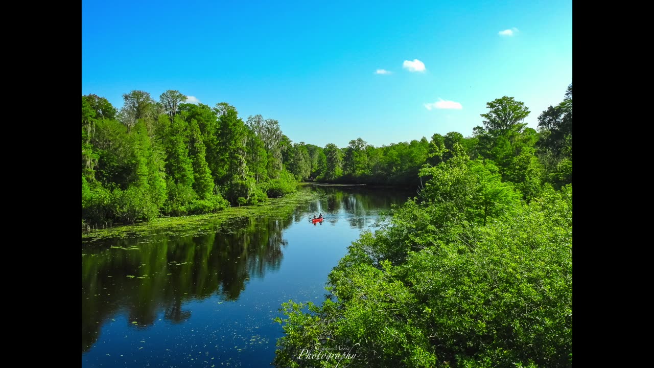 Lettuce Lake Park in Tampa, Fl