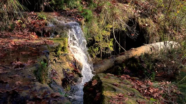 Water Stream