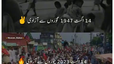 History or Pakistani politics