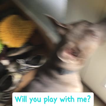 Play with me
