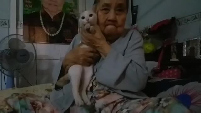 Cute cat with grandma