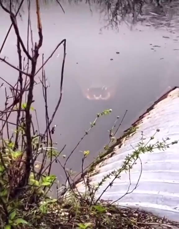 What are you doing in this situation?