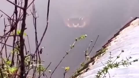 What are you doing in this situation?