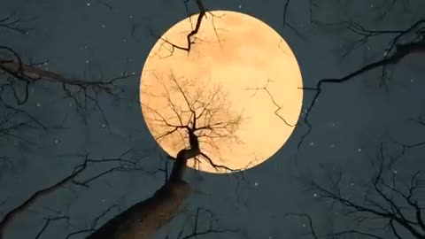 Beauty of Nature