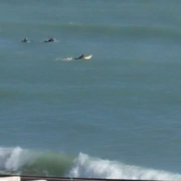 Black wet suit guy floating on small waves surf